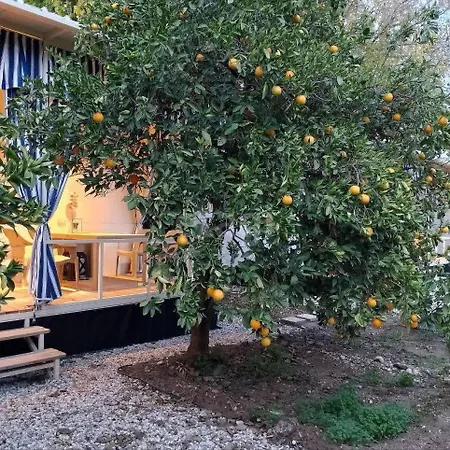 Holiday home Citrrus Bungalo 5 Km To Bahtili